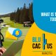 BluCactus - What is the best email marketing tool for golf courses?