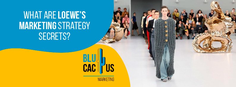 BluCactus USA - What Are Loewe's Marketing Strategy Secrets?